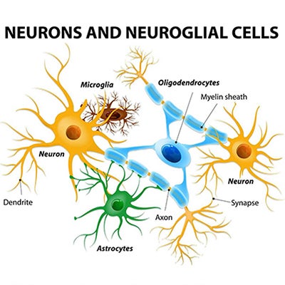 Basics In Psychopharmacology - PsychU