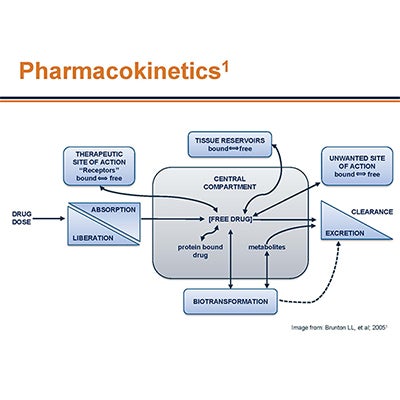 Pharmacokinetics: The Basics - PsychU