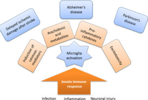 Inflammation In Neurological & Psychiatric Diseases