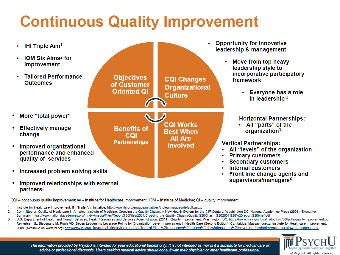 continuous-quality-improvements-in-behavioral-health-care-a