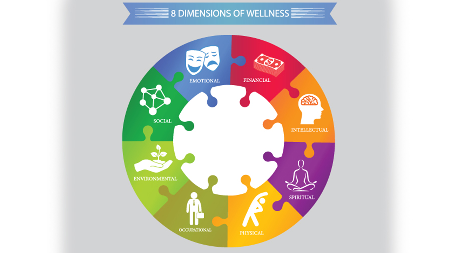 Reflections On Utilizing The “8 Dimensions Of Wellness Workbook: Creating Balance & Healthy Habits In Every Area Of Your Life”