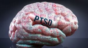 Exploring Post-Traumatic Stress Disorder: Pathophysiology